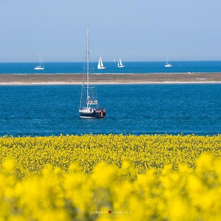 Urlaub Mit Ostseeblick, Schwimmbad, Sauna & Direkte Strandlage Kronsgaard Zewnętrze zdjęcie