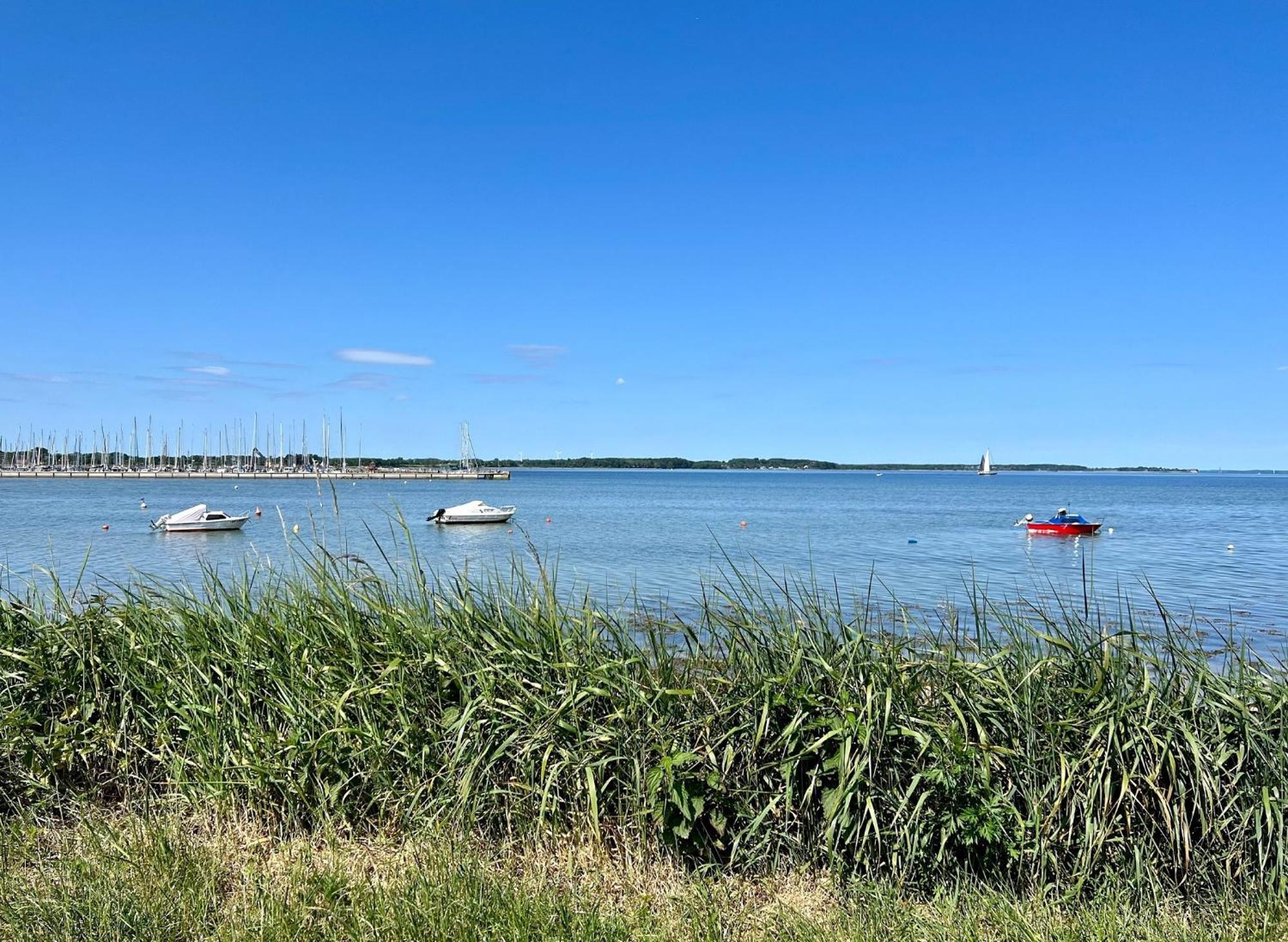 Urlaub Mit Ostseeblick, Schwimmbad, Sauna & Direkte Strandlage Kronsgaard Zewnętrze zdjęcie